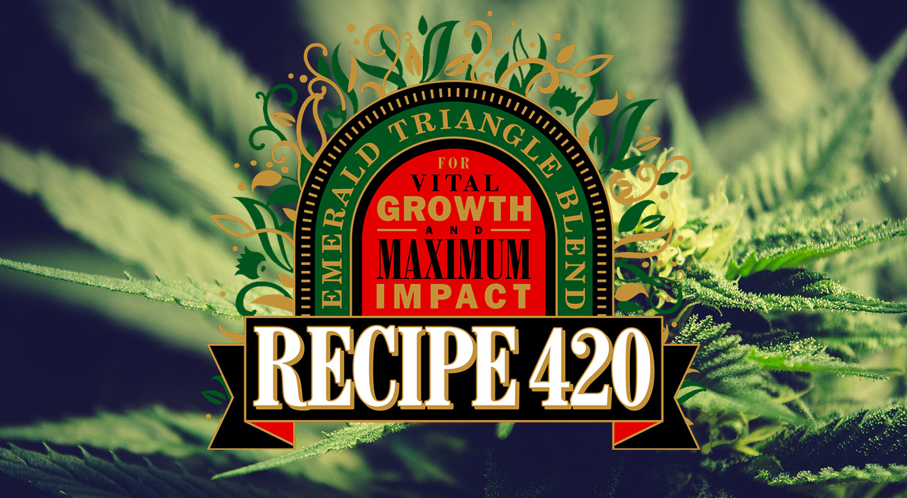 www.recipe420.com